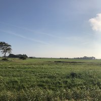 Wiese mit weitem Blick